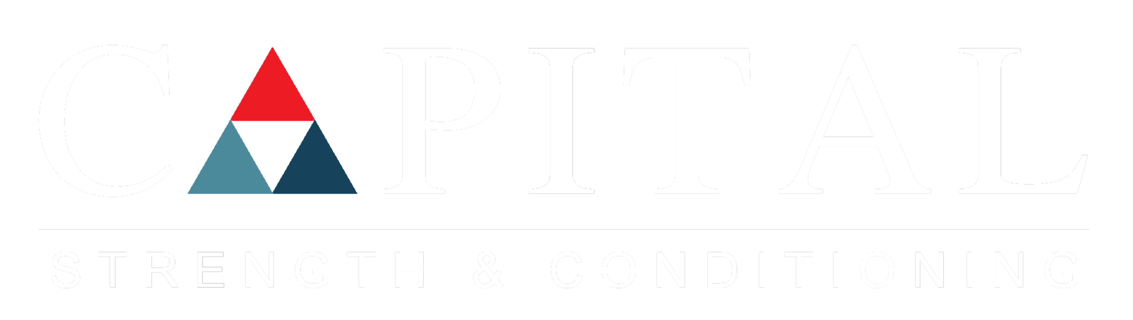 Capital Strength